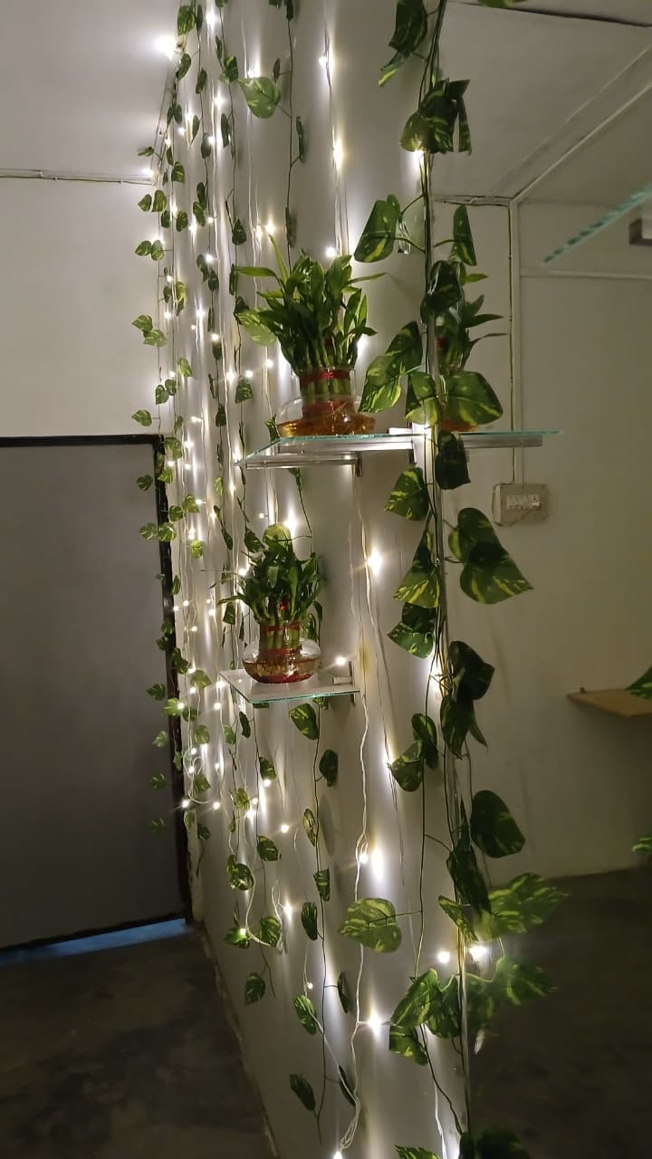 Botanical detail at GreenView Homestay